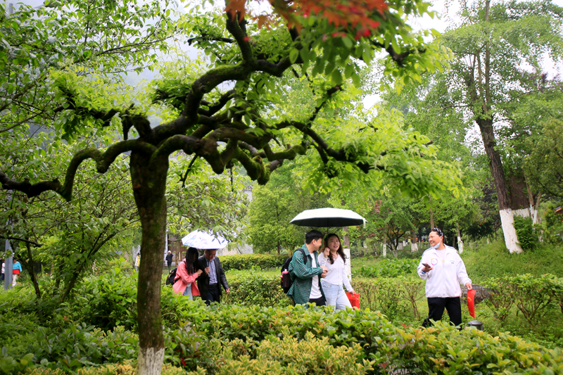 打卡黃龍洞！初夏雨后，清新綠意太治愈